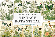 Vintage Botanical Digital Paper, a Background Graphic by BusyDaydesign (Thumbnail 1 of 8)