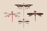 Folk Art Insects., an Animal Illustration by Annakniaz (Thumbnail 7 of 15)