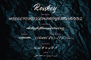 Rosskey - Brush Font, a Script Font by sancreastd. (Thumbnail 9 of 9)