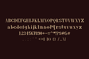 Fontany - Modern Typeface, a Serif Font by Made by Cap (Thumbnail 2 of 5)