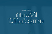 Willy Moody Elegant Serif, a Serif Font by Artiveko (Thumbnail 4 of 8)