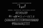 Dansols Avenquor Handwritten Font, a Handwritten Font by Maulana Creative (Thumbnail 5 of 8)
