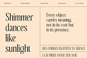 CS Reign – Elegant Font, a Serif Font by Craft Supply Co. (Thumbnail 5 of 8)