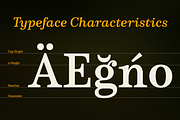 Schorel, a Serif Font by insigne (Thumbnail 1 of 4)