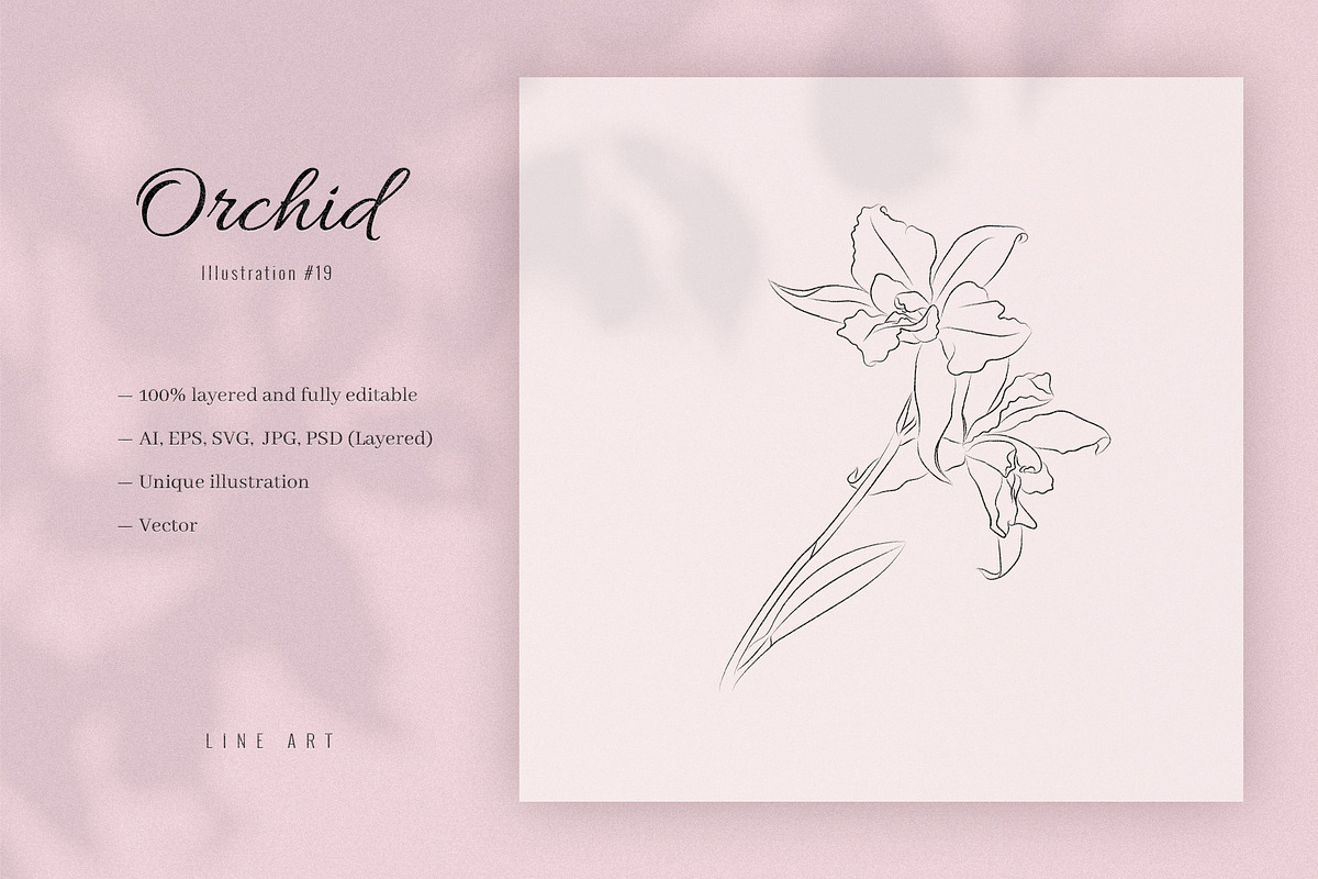 Orchid #19. Line Art Illustration, a Decorative Illustration by lapi-olesya (Photo 1 of 3)