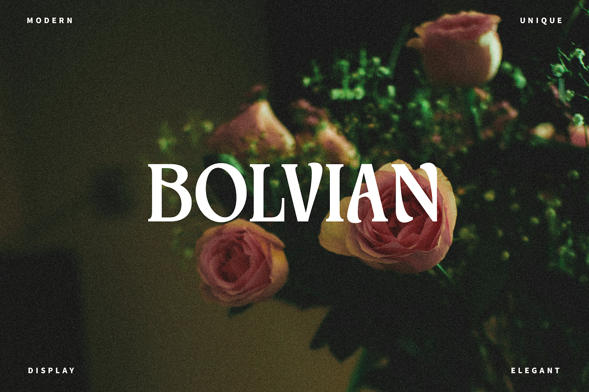 Meginer Nineties - Modern Serif, a Serif Font by Comactype Foundry (Photo 16 of 22)
