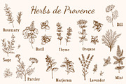 Vintage Provencal Herbs., a Food Illustration by Artspace (Thumbnail 2 of 4)