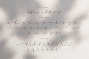 Blessed Signature Font, a Script Font by Pen Culture (Thumbnail 11 of 11)