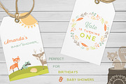 Baby Woodland Design Pack, an Animal Illustration by Wild Twig Co (Thumbnail 4 of 12)