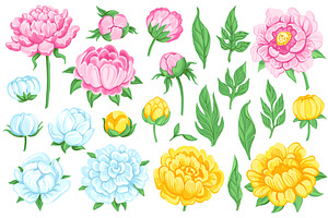 Peony elements. Flowers, buds, green, an Object Illustration by YummyBuum
