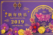 set of 2019 Chinese New Year card, a Card Template by Max vector (Thumbnail 11 of 16)