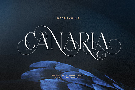 Canaria - Fancy Light Serif, a Serif Font by Bale Type