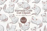 Siamese Cute Cat Clipart, an Animal Illustration by creationsbyapuruh (Thumbnail 1 of 5)