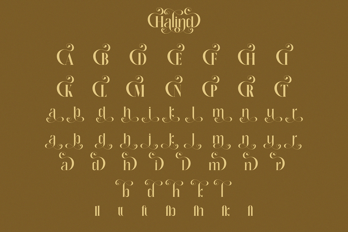 Halind Modern Elegant Serif, a Serif Font by Alfinart (Photo 9 of 10)