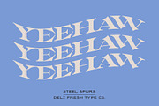 Steel Spurs: A Western Display Font, a Serif Font by DeliFreshTypeCo. (Thumbnail 5 of 9)