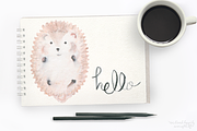 Watercolor Hedgehog Digital Graphics, an Animal Illustration by WeLivedHappilyEverAfter (Thumbnail 1 of 4)