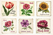 Vintage Flowers Clipart Seed Packet, an Illustration by Dream Creation (Thumbnail 5 of 6)