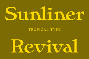 Sunliner Revival Retro Font, a Serif Font by Tropical Type