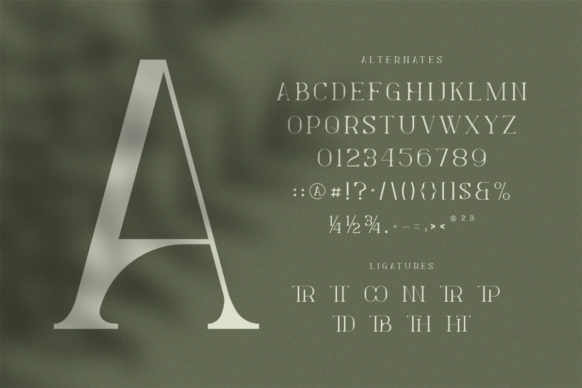 Levelly Luxury Premium Serif Font, a Serif Font by Artiveko (Photo 9 of 9)
