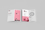 165 Brochure Mock-ups Big Bundle, a Print Template by pmvch (Thumbnail 68 of 170)