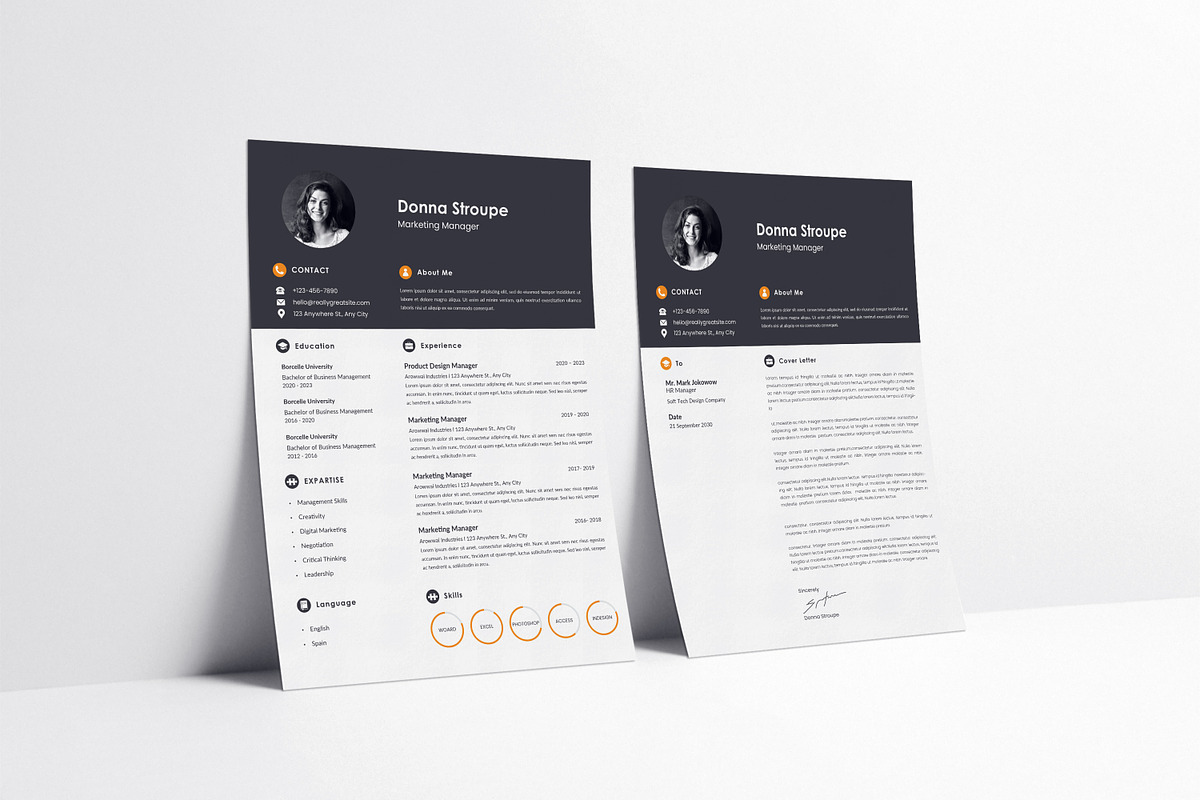 Professional Resume/CV Template, a Resume Template by DreamStudio-eg (Photo 3 of 4)