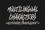 Resonance - Hand brushed With Extras, a Handwritten Font by Swandtype (Thumbnail 9 of 12)