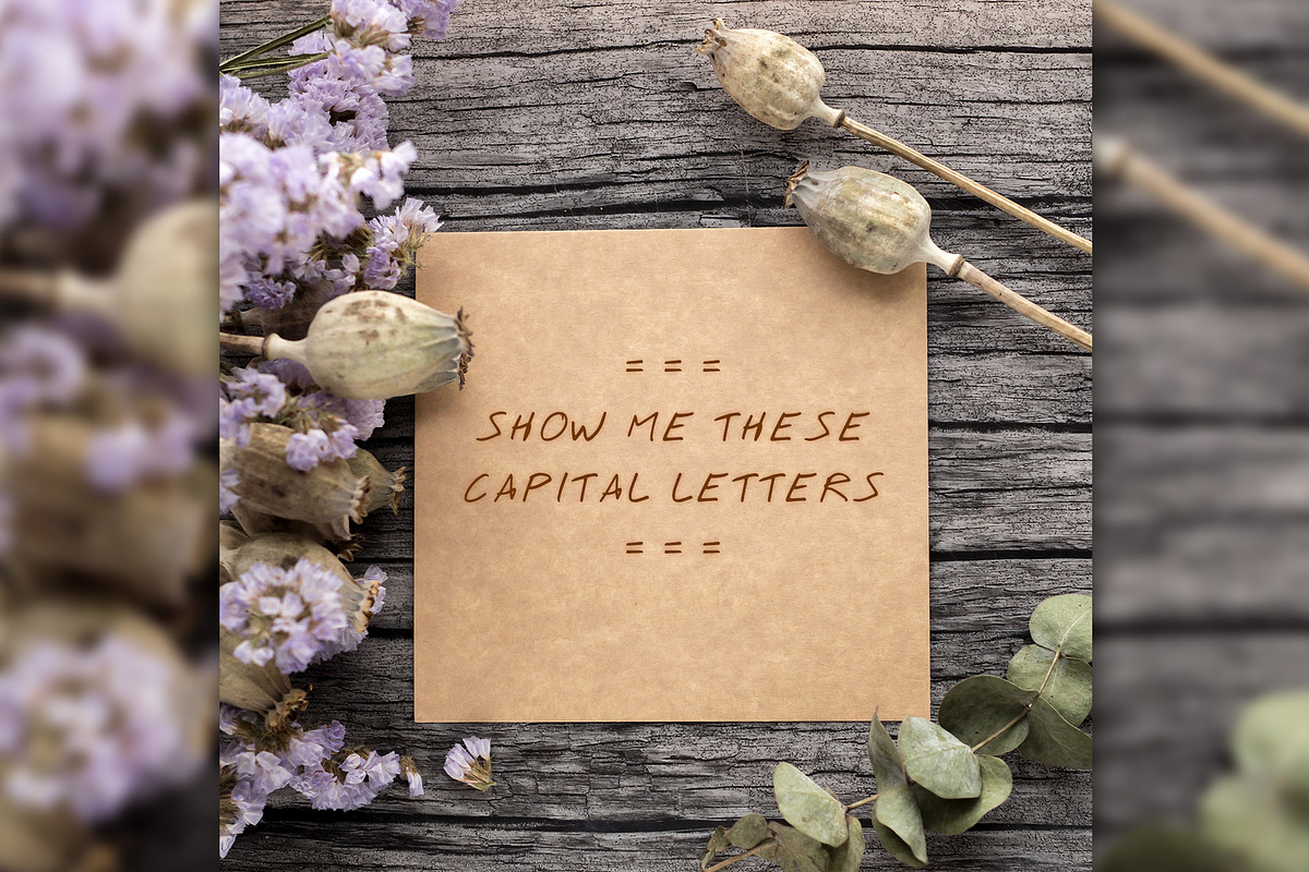 Reto Script Font preview 7
