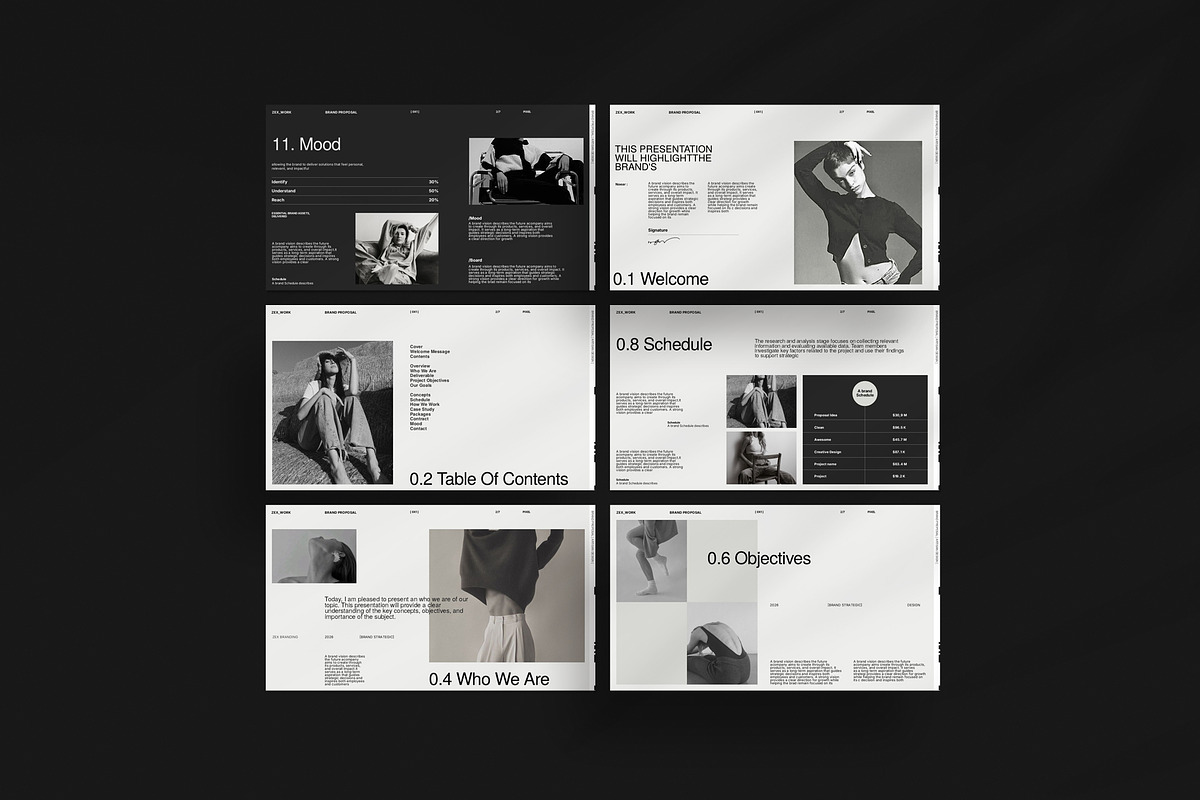 Zex Brand Proposal Presentation, a Presentation Template by Studio Artisan (Photo 5 of 9)