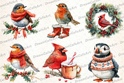 Christmas Birds Sublimation Clipart, an Illustration by DreamCafeArt (Thumbnail 2 of 7)