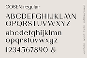 Cosen Font Family, a Sans Serif Font by Larin Type Co. (Thumbnail 14 of 14)