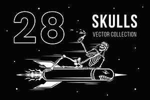 Skulls Vector Illustration