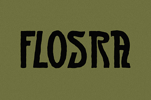 SAE Flosra - Folkcraft Display, a Slab Serif Font by Saera Type