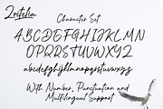 Zoitelia - Modern Signature Font, a Script Font by Megatype (Thumbnail 10 of 11)