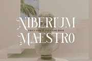 Megumi, a Serif Font by Kenrichi (Thumbnail 9 of 10)