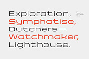 Taruno Wide Font Family, a Sans Serif Font by Locomotype (Thumbnail 4 of 13)