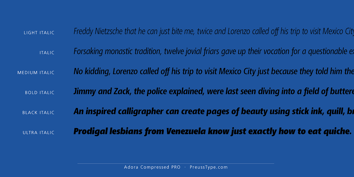 Adora PRO, a Sans Serif Font by preussTYPE (Photo 36 of 40)