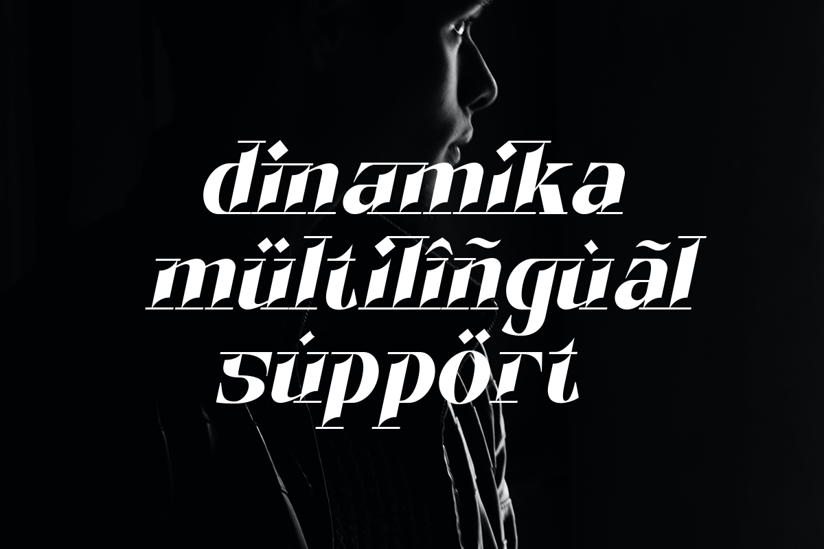 Dinamika - Modern Display Font, a Serif Font by Say Studio (Photo 10 of 10)