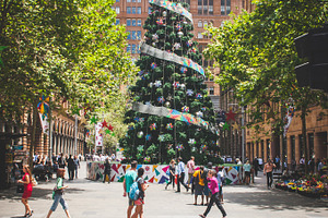 Big Christmas Tree in the City