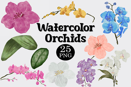 Watercolor Orchid Flower Clipart Set, a Decorative Illustration by CropUp Creative