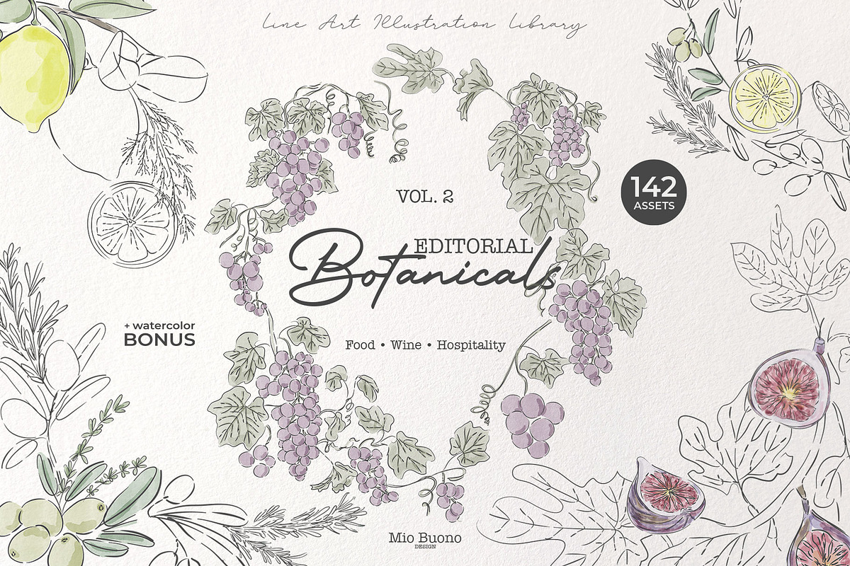 Editorial Botanical Line Art, an Object Illustration by Mio Buono (Photo 1 of 16)