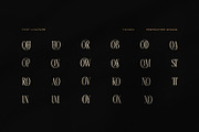 Thores Contrast Serif Font, a Serif Font by Perfectype (Thumbnail 8 of 8)