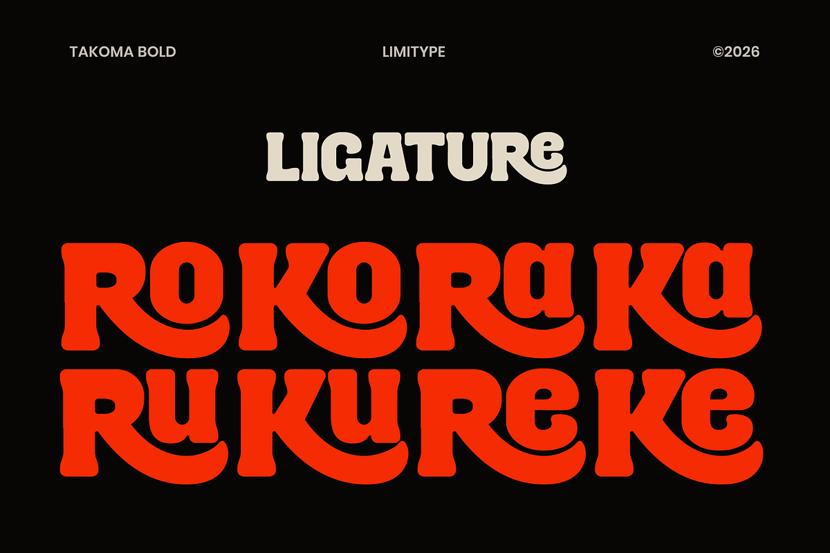 Takoma - Bold Display Font, a Serif Font by limitype (Photo 7 of 12)