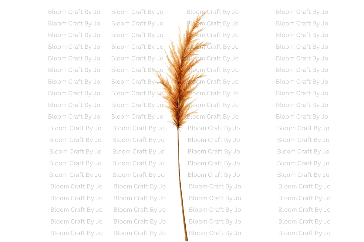 Dried Pampas Grass, a Decorative Illustration by Bloom Craft Creations (Photo 4 of 10)