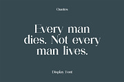 Liquefier Elegant Serif Font, a Serif Font by UICreative (Thumbnail 9 of 13)