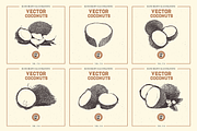 VECTOR COCONUTS HAND DRAWN BUNDLE, a Food Illustration by pawellpi (Thumbnail 3 of 6)