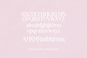VINTAGE CHAMPAGNE Modern Serif Font, a Serif Font by Blush Font Co. (Thumbnail 3 of 9)