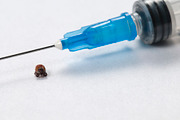 Mite and syringe tool featuring acarian, tick, and acarid, a Health & Medical Photo by Alexander62 (Thumbnail 2 of 2)