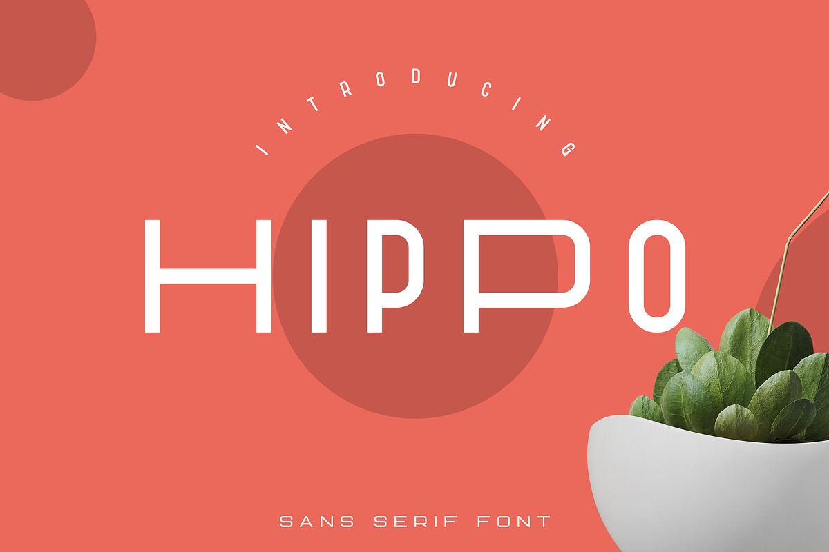 Hippo Sans Serif | 3 styles