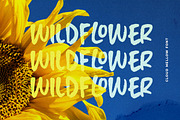 Cloud Mellow - Brush Handwritten, a Handwritten Font by Letterhend Studio (Thumbnail 2 of 9)