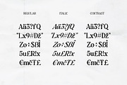 Baskerville Display Pro, a Serif Font by Positive TypeFoundry (Thumbnail 16 of 23)